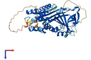 SERPINB12 Protein (AA 1-423) (His tag)