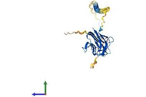 AlphaFold protein structure predicition of Human Recombinant FASLG Protein, UniprotID P48023 (FASL Protein (AA 1-281) (His tag))