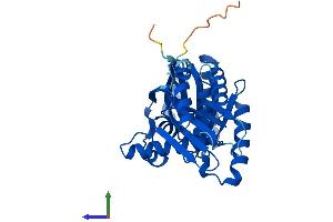Protein Structure (PS) image for Ras-Related GTP Binding A (RRAGA) (AA 1-313) protein (His tag) (ABIN7551538)