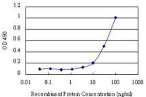Sandwich ELISA detection sensitivity ranging from 3 ng/mL to 100 ng/mL. (CSE1L (Human) Matched Antibody Pair)