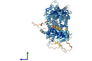 Protein Structure (PS) image for ATP-Binding Cassette, Sub-Family C (CFTR/MRP), Member 8 (ABCC8) (AA 1-1581) protein (His tag) (ABIN7551762)