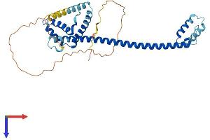 HMG20A Protein (AA 1-346) (His tag)