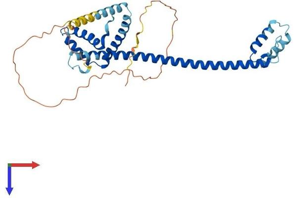 HMG20A Protein (AA 1-346) (His tag)