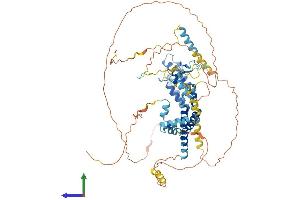 Protein Structure (PS) image for Bromodomain Containing 7 (BRD7) (AA 1-651) protein (His tag) (ABIN7562645)
