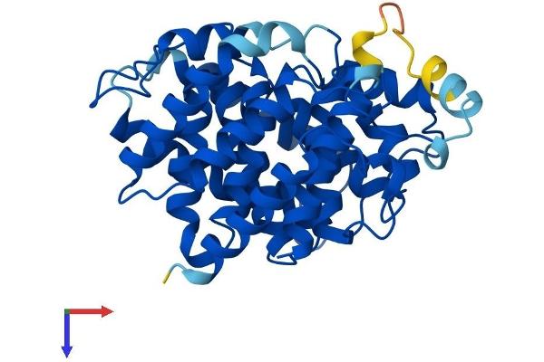 ADPRHL1 Protein (AA 1-354) (His tag)