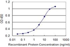 Detection limit for recombinant GST tagged MED9 is 0. (MED9 Antikörper  (AA 1-146))