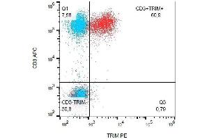 Intracellular staining of human peripheral blood with mAb PE.