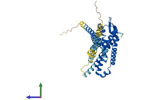 Protein Structure (PS) image for Formyl Peptide Receptor 3 (FPR3) (AA 1-351) protein (His tag) (ABIN7562205)