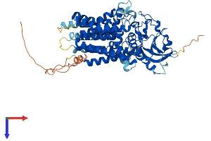 ALG9 Protein (AA 1-611) (His tag)