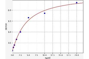 rho-Associated, Coiled-Coil Containing Protein Kinase 2 (ROCK2) ELISA Kit
