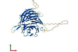 Protein Structure (PS) image for Nucleoporin 43kDa (NUP43) (AA 1-380) protein (His tag) (ABIN7556542)