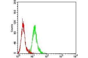 Flow Cytometry (FACS) image for anti-Autophagy Related 10 (ATG10) (AA 1-125) antibody (ABIN7193442)