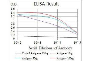 Black line: Control Antigen (100 ng), Purple line: Antigen(10 ng), Blue line: Antigen (50 ng), Red line: Antigen (100 ng), (PDX1 Antikörper)