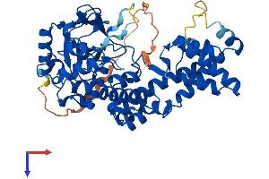 SETD6 Protein (AA 1-473) (His tag)
