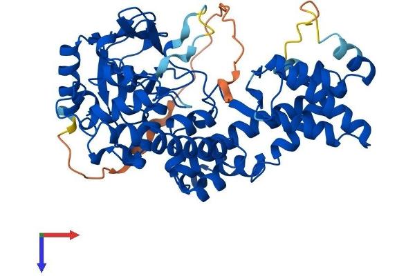 SETD6 Protein (AA 1-473) (His tag)
