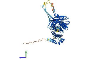 AlphaFold protein structure predicition of Human Recombinant SPOPL Protein, UniprotID Q6IQ16
