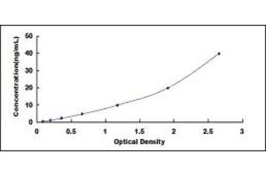 Typical standard curve (VEGFR2/CD309 ELISA Kit)