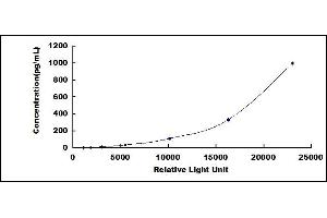 Typical standard curve