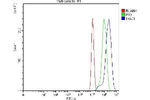 Flow Cytometry analysis of PC-3 cells using anti-TIGD1 antibody (ABIN7602407). (TIGD1 Antikörper  (AA 74-591))