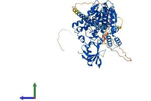 Protein Structure (PS) image for Myotubularin Related Protein 7 (MTMR7) (AA 1-660) protein (His tag) (ABIN7549600)