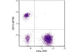 Human peripheral blood lymphocytes were stained with Mouse Anti-Human CD19-AF700. (CD19 Antikörper  (APC-Cy5.5))