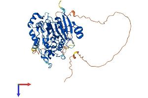 DBR1 Protein (AA 1-544) (His tag)