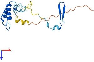 CHCHD4 Protein (AA 1-142) (His tag)