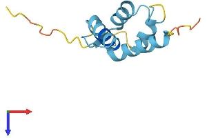 S100A14 Protein (AA 1-104) (His tag)