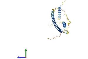 Protein Structure (PS) image for MAX Dimerization Protein 3 (MXD3) (AA 1-206) protein (His tag) (ABIN7549144)