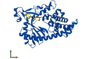 Protein Structure (PS) image for Mab-21-Like 2 (MAB21L2) (AA 1-359) protein (His tag) (ABIN7558804)