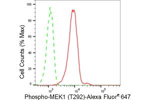 Flow cytometric analysis of Phospho-MEK1 (T292) expression in C2C12 cells using Phospho-MEK1 (T292) antibody (ABIN7799463), 1:2,000). (Rekombinanter MEK1 Antikörper  (pThr292))