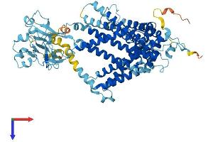 SLC44A2 Protein (AA 1-706) (His tag)