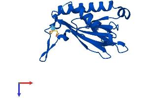 C14orf126 Protein (AA 1-168) (His tag)