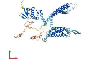Protein Structure (PS) image for Potassium Voltage-Gated Channel, Shaw-Related Subfamily, Member 1 (KCNC1) (AA 1-511) protein (His tag) (ABIN7554263)