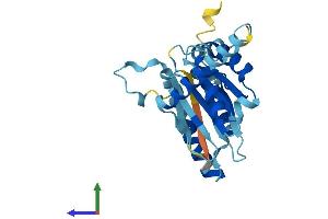 AlphaFold protein structure predicition of Human Recombinant PSMA8 Protein, UniprotID Q8TAA3