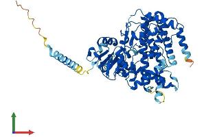 Protein Structure (PS) image for Cytochrome P450, Family 1, Subfamily B, Polypeptide 1 (CYP1B1) (AA 1-543) protein (His tag) (ABIN7563989)