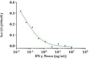 IFN-γ, Mouse induced cytotoxicity using WEHI-279 cells. (Interferon gamma Protein (IFNG) (AA 23-155))
