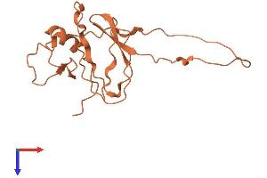 AlphaFold protein structure predicition of Human Recombinant LINC00528 Protein, UniprotID Q8N1L1