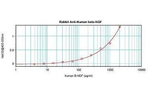 Image no. 4 for anti-Nerve Growth Factor (NGF) antibody (ABIN465645) (Nerve Growth Factor Antikörper)