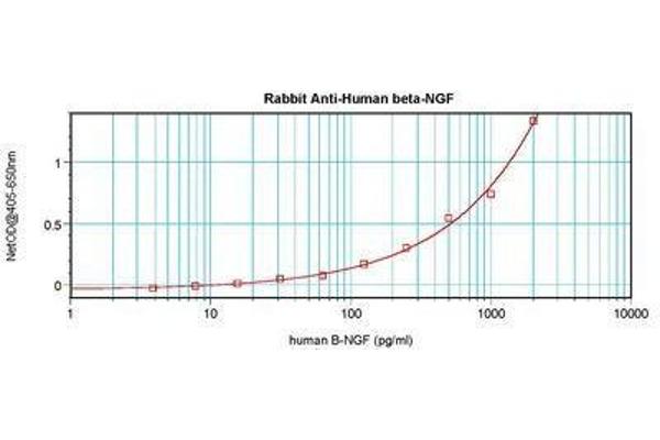 Nerve Growth Factor Antikörper