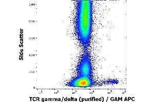 Flow cytometry surface staining pattern of human peripheral whole blood stained using anti-human TCR gamma/delta (11F2) purified antibody (concentration in sample 1,7 μg/mL, GAM APC). (TCR gamma/delta Antikörper)
