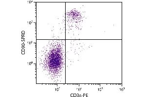 C57BL/6 mouse splenocytes were stained with Rat Anti-Mouse CD90-SPRD. (CD90 Antikörper  (SPRD))