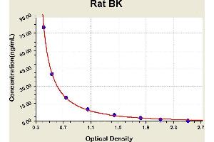 Diagramm of the ELISA kit to detect Rat BKwith the optical density on the x-axis and the concentration on the y-axis.
