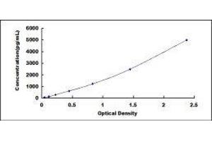 Defensin beta 2 (BD-2) ELISA Kit