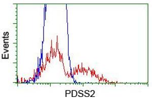 HEK293T cells transfected with either RC207892 overexpress plasmid (Red) or empty vector control plasmid (Blue) were immunostained by anti-PDSS2 antibody (ABIN2455314), and then analyzed by flow cytometry. (PDSS2 Antikörper)