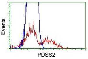 HEK293T cells transfected with either RC207892 overexpress plasmid (Red) or empty vector control plasmid (Blue) were immunostained by anti-PDSS2 antibody (ABIN2455314), and then analyzed by flow cytometry.