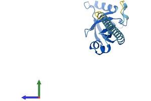 AlphaFold protein structure predicition of Human Recombinant CBFB Protein, UniprotID Q13951