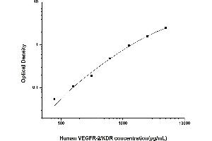 VEGFR2/CD309 ELISA Kit