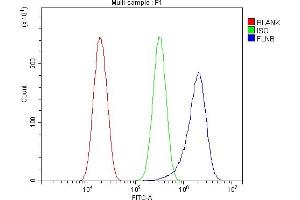 Flow Cytometry analysis of Hela cells using anti-Filamin B/FLNB antibody (ABIN7601607).