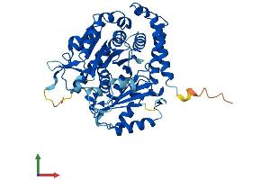 AlphaFold protein structure predicition of Human Recombinant TUBA1A Protein, UniprotID Q71U36